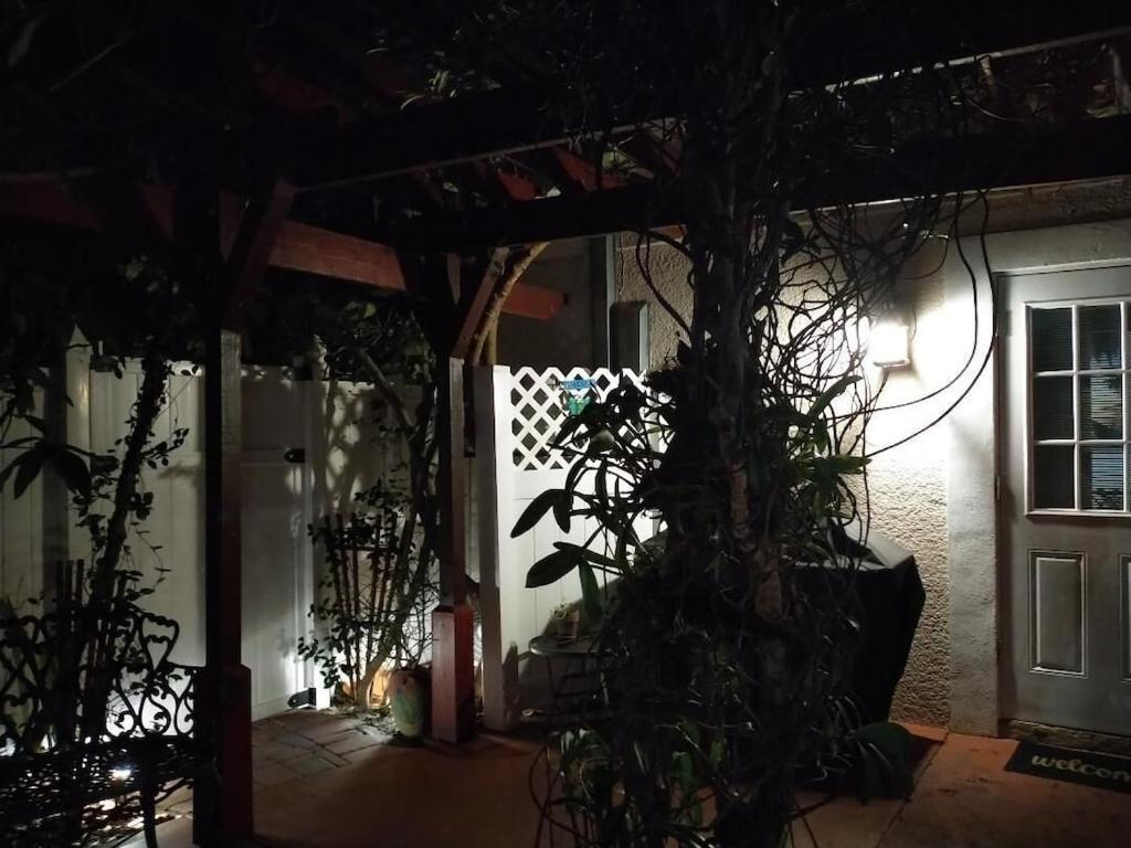Tampa Bay Beautiful Apartment And Private Jacuzzi Экстерьер фото